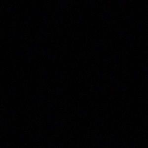 Meet your Posher, Alisha